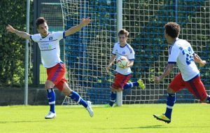 Hamburger SV II vs. SV Drochtersen Assel betting picks