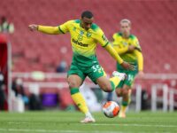 Norwich vs Brighton Soccer Betting Picks